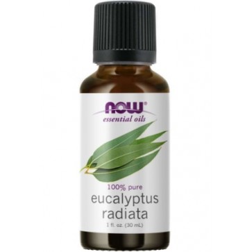 EUCALYPTUS RADIATA OIL  1 OZ NOW Foods NOW Essential Oils