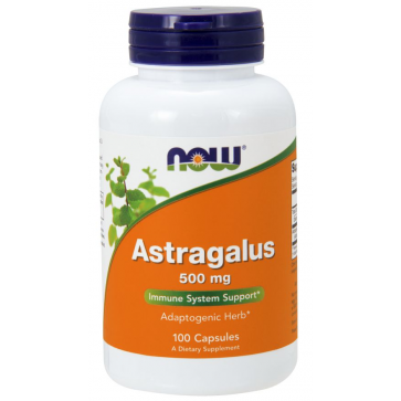 ASTRAGALUS 500mg 100 CAPS NOW Foods NOW